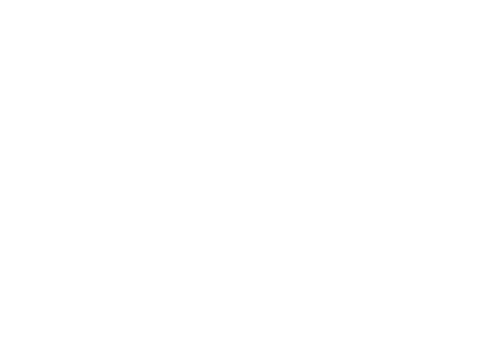10+ années d'expérience