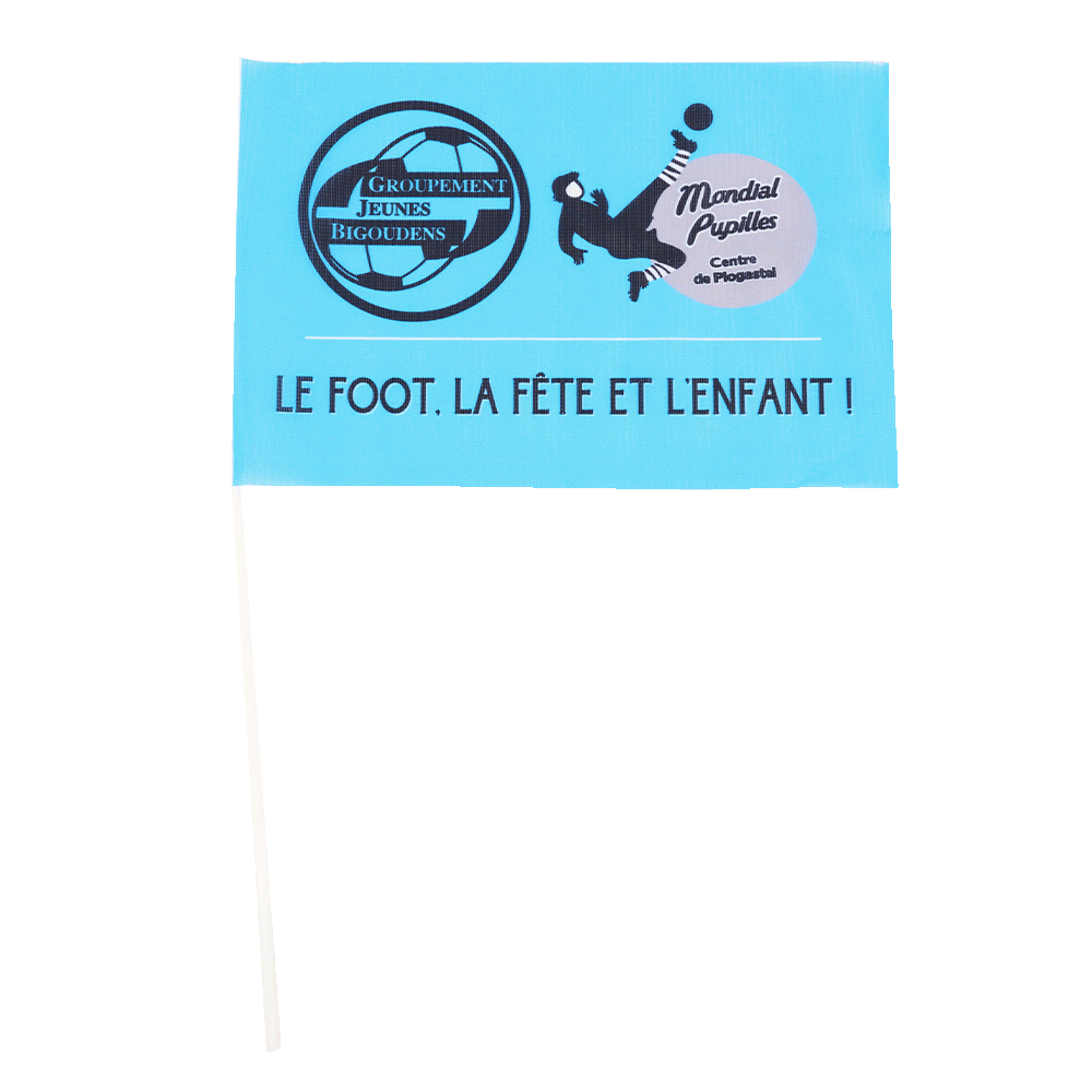 Drapeaux à main