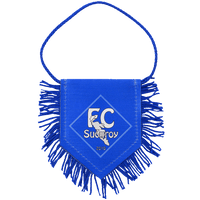 Fanion personnalisé imprimé