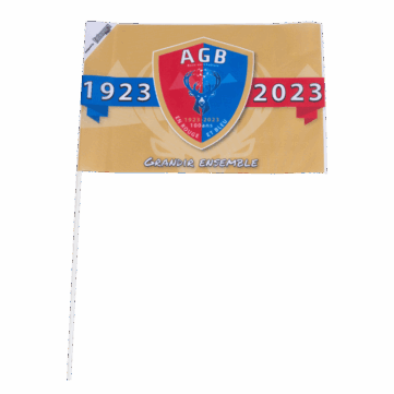 Drapeaux à main